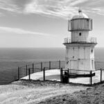 faro-coaching-vertical